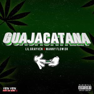 GUAJACATANA (feat. Manny Flow DR)