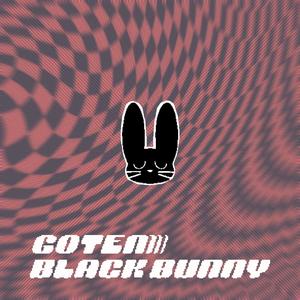 Black Bunny (Instrumental Version)