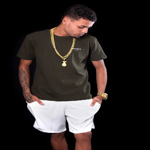 DJ Will - VOU FALAR PRO MORRO INTEIRO (Explicit)