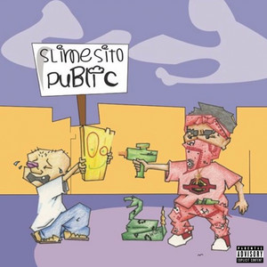 Public (Explicit)