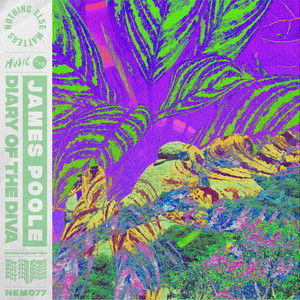 Diary Of The Diva (Extended Mix)