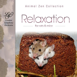 Music for Rats and Mice