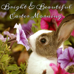 Bright & Beautiful Easter Morning