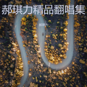 郝琪力 - 别知己