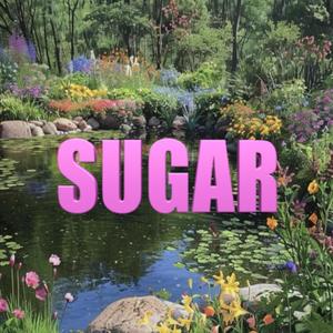 SUGAR