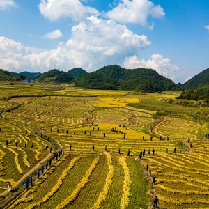 抢头谷   晒龙谷