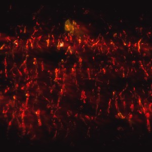 Relentless (feat. SkeeLöDee & AR Dinero) (Explicit)