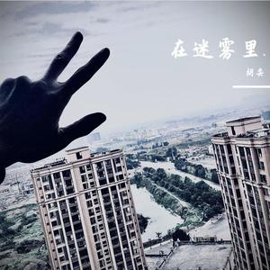 雾的光线