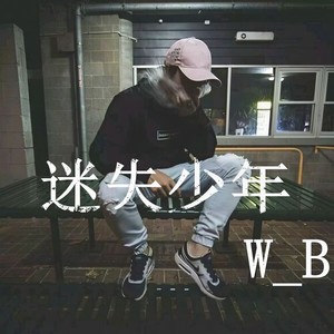 没那种命