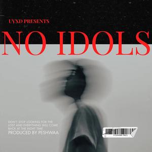 NO IDOLS