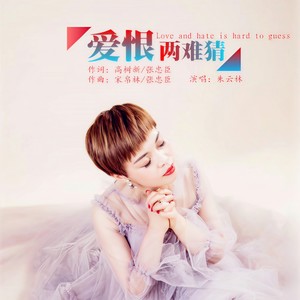 爱恨两难猜