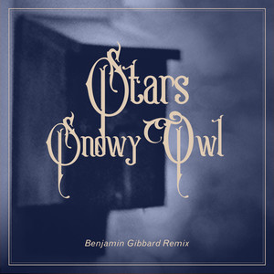 Snowy Owl (Benjamin Gibbard Remix) [Explicit]