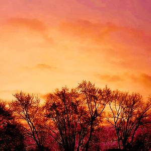 CANT SAY (feat. Z3ak)