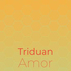 Triduan Amor