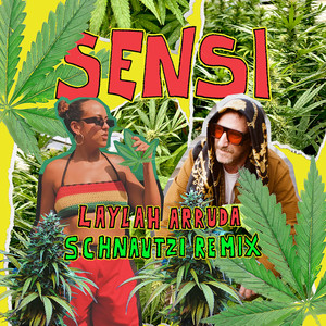 Sensi (Schnautzi Remix)