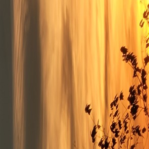 Shower with sin(feat. Rawkey)