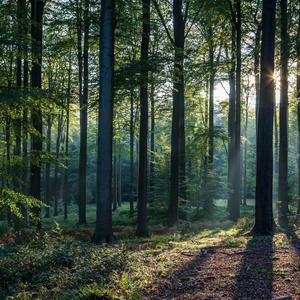 A Taste of the Upcoming Album (feat. Big Bruh Tuh) (Explicit)