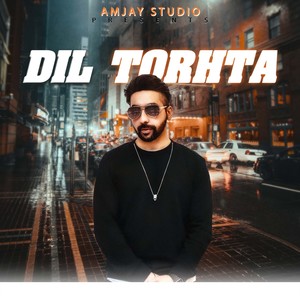 Dil Torhta