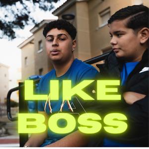 Like A Boss (Explicit)