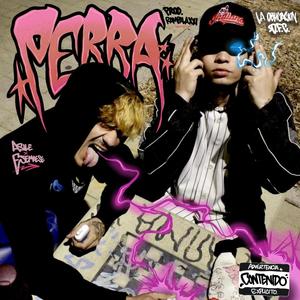 Perra (feat. Asile) [Explicit]