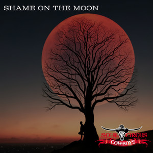 Shame On The Moon