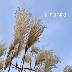 Crows