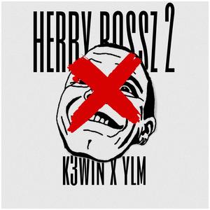 HErBY Rossz 2 (feat. YLM) [Explicit]