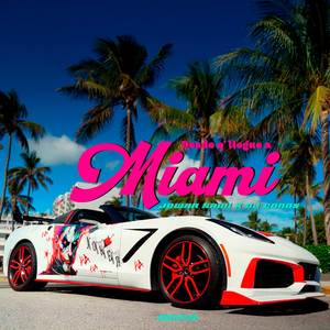 Desde que llegué a Miami