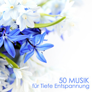 50 Musik für Tiefe Entspannung - 50 Zen Meditationslieder zum Entspannen und Beruhigen, Spirituelle Hintergrundmusik Yoga