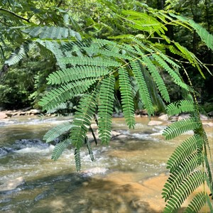 Burning Bright Through Me