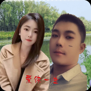 做对鸳鸯好伴侣 (伴奏)