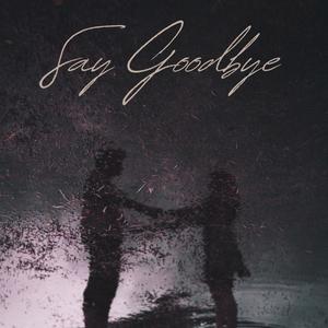 Say Goodbye (Explicit)