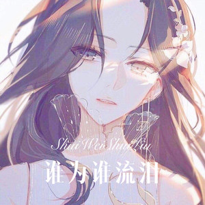 谁为谁流泪 (Remix)