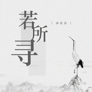 若所寻 (DJ名龙版)