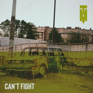 Can't Fight