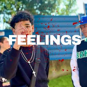 FEELINGS (Explicit)