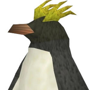 macaroni penguins (Explicit)