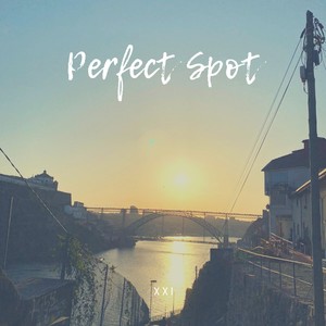 Perfect Spot (Demo)