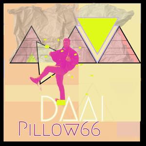 Pillow66
