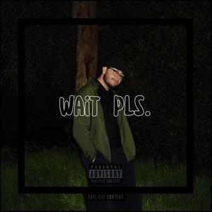 Wait pls. (Explicit)