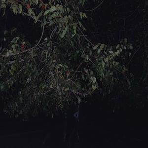 CUANDO P!ENSO EN T!.