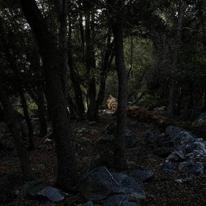 SINNERS TESTIMONY (OUTRO)