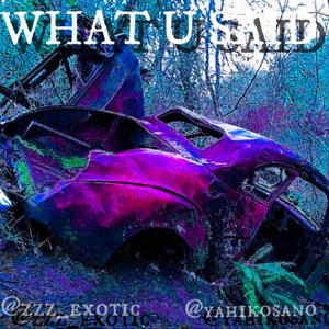 WHAT U SAID (feat. marric) (Explicit)