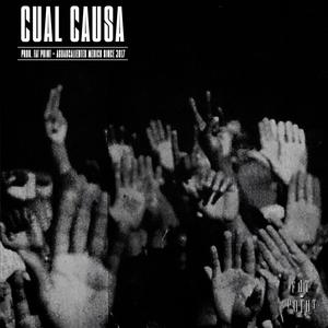 CUAL CAUSA