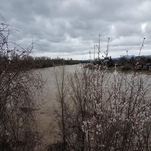 Raining in California