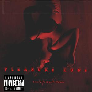 The Pleasure Zone (feat. Payso) [Explicit]