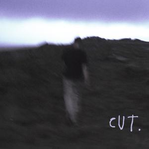 CUT. (Explicit)