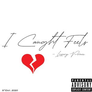 I Caught Feels (Explicit)