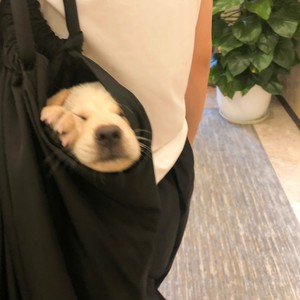 亲爱的，那不是爱情