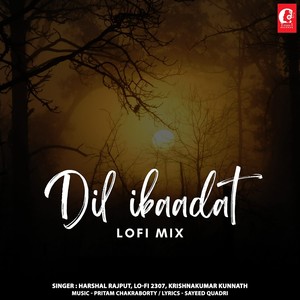 Dil Ibaadat Lofi Mix
